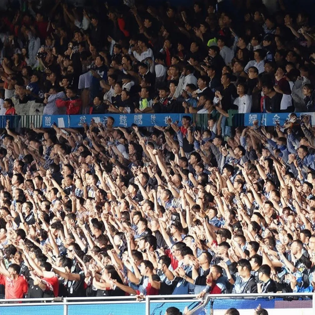 asian-cup-fans