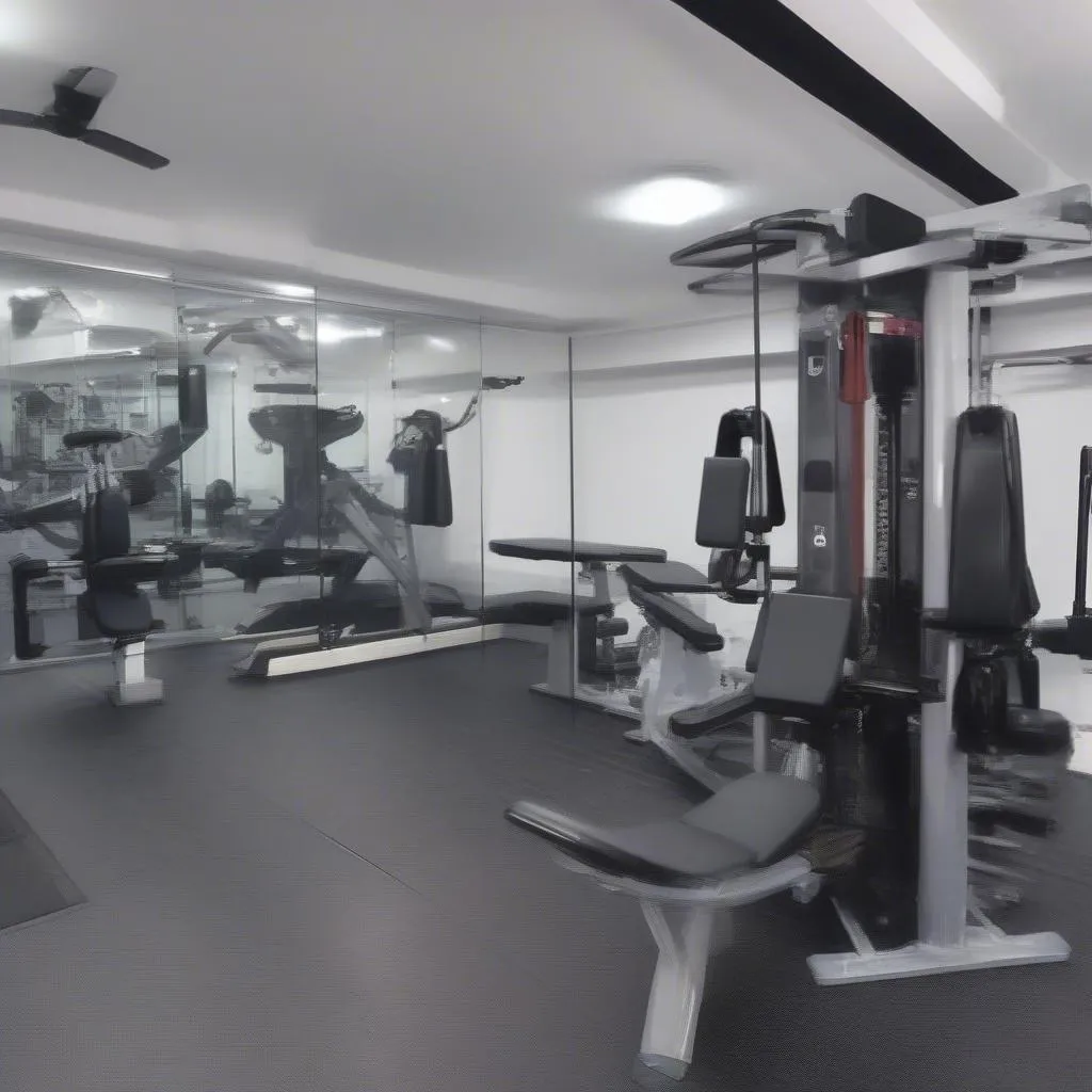 CLB Passion Fitness Tây Hồ - Phòng tập gym