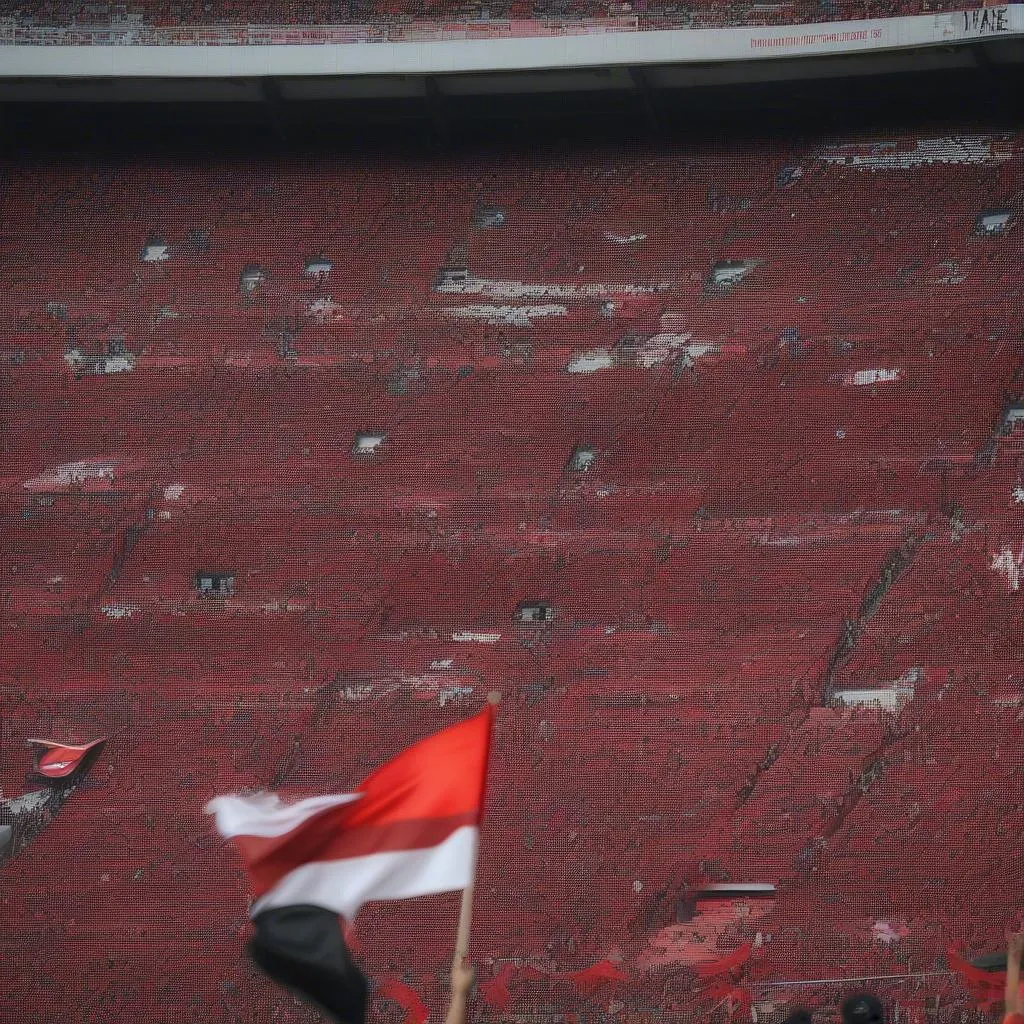 Cổ động viên Flamengo