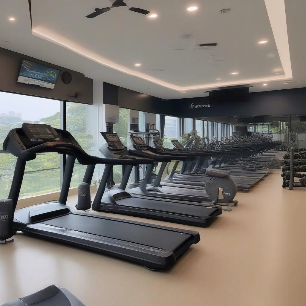 Phong cảnh tập gym tại CLB Mùa Xuân