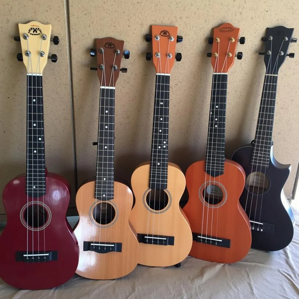 CLB Ukulele Hành Trình Âm Nhạc