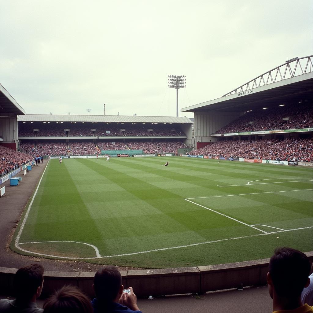 Sân vận động Plough Lane của CLB Wimbledon