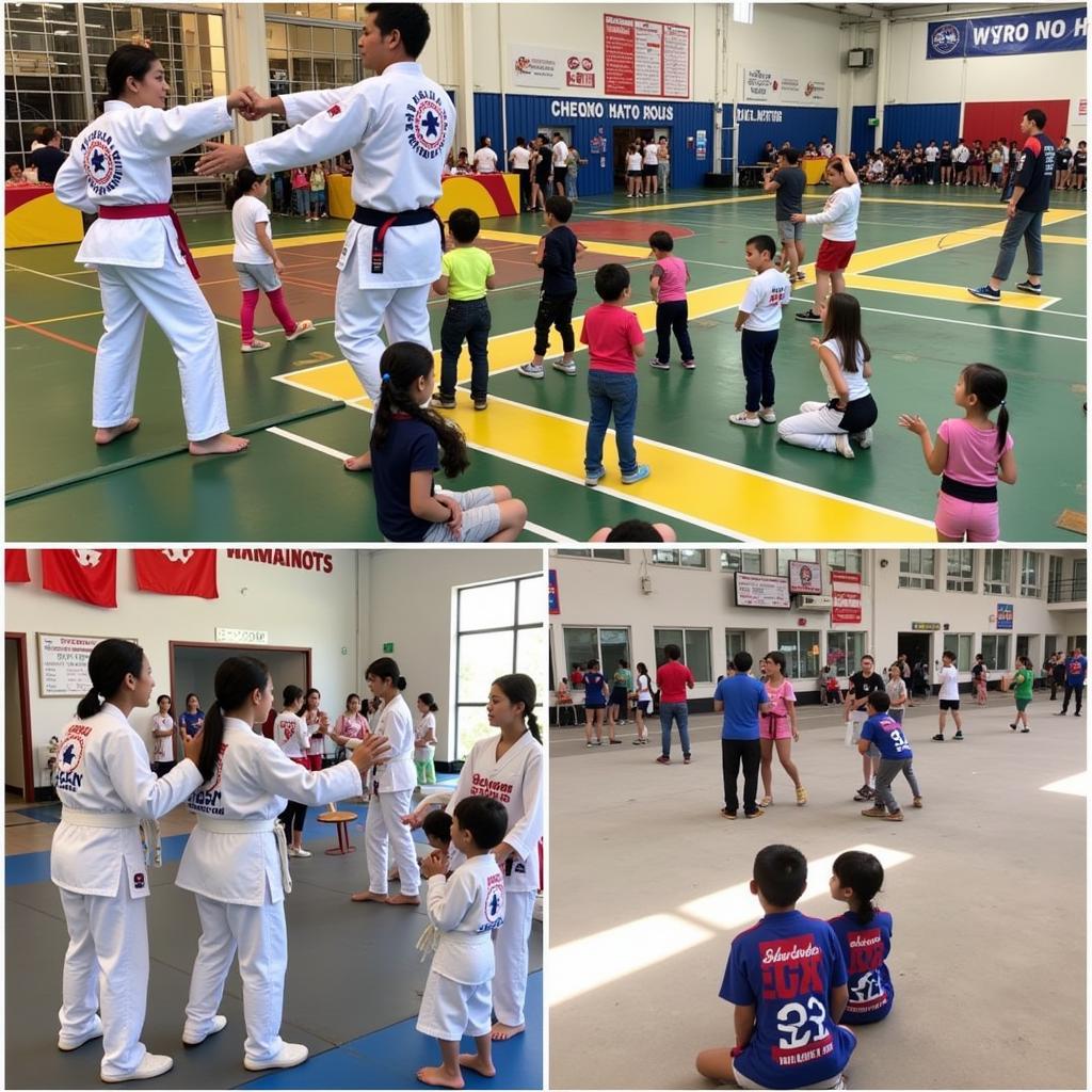 Lựa chọn CLB Taekwondo TPHCM phù hợp với nhu cầu và mục tiêu