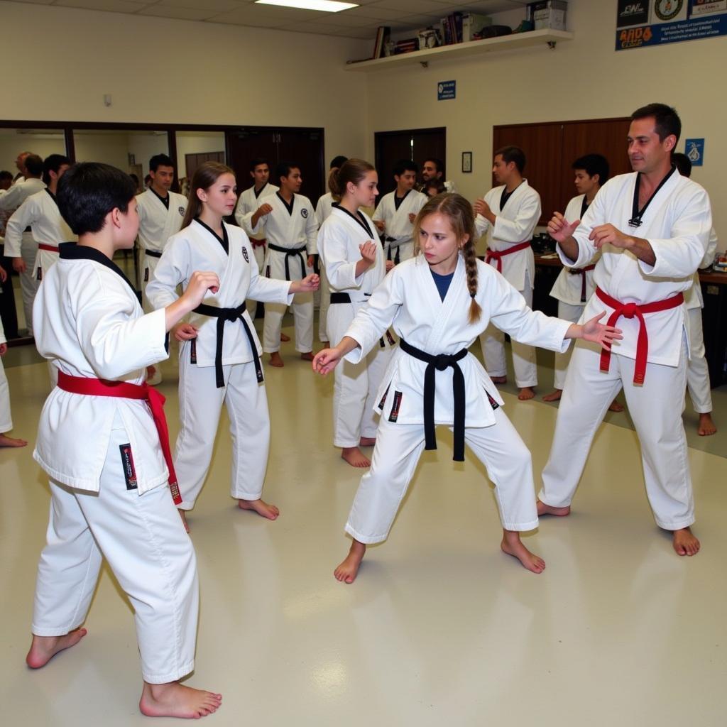 Tập luyện Taekwondo tại CLB