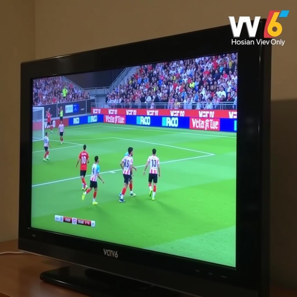 Trực tiếp Asian Cup trên VTV6