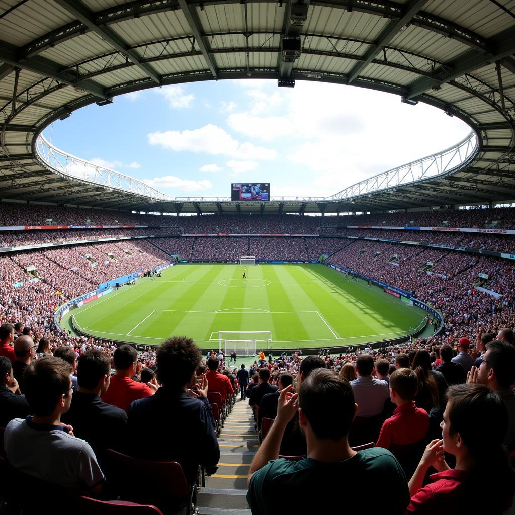 Fans cheering at the 2007 FIFA Women's World Cup