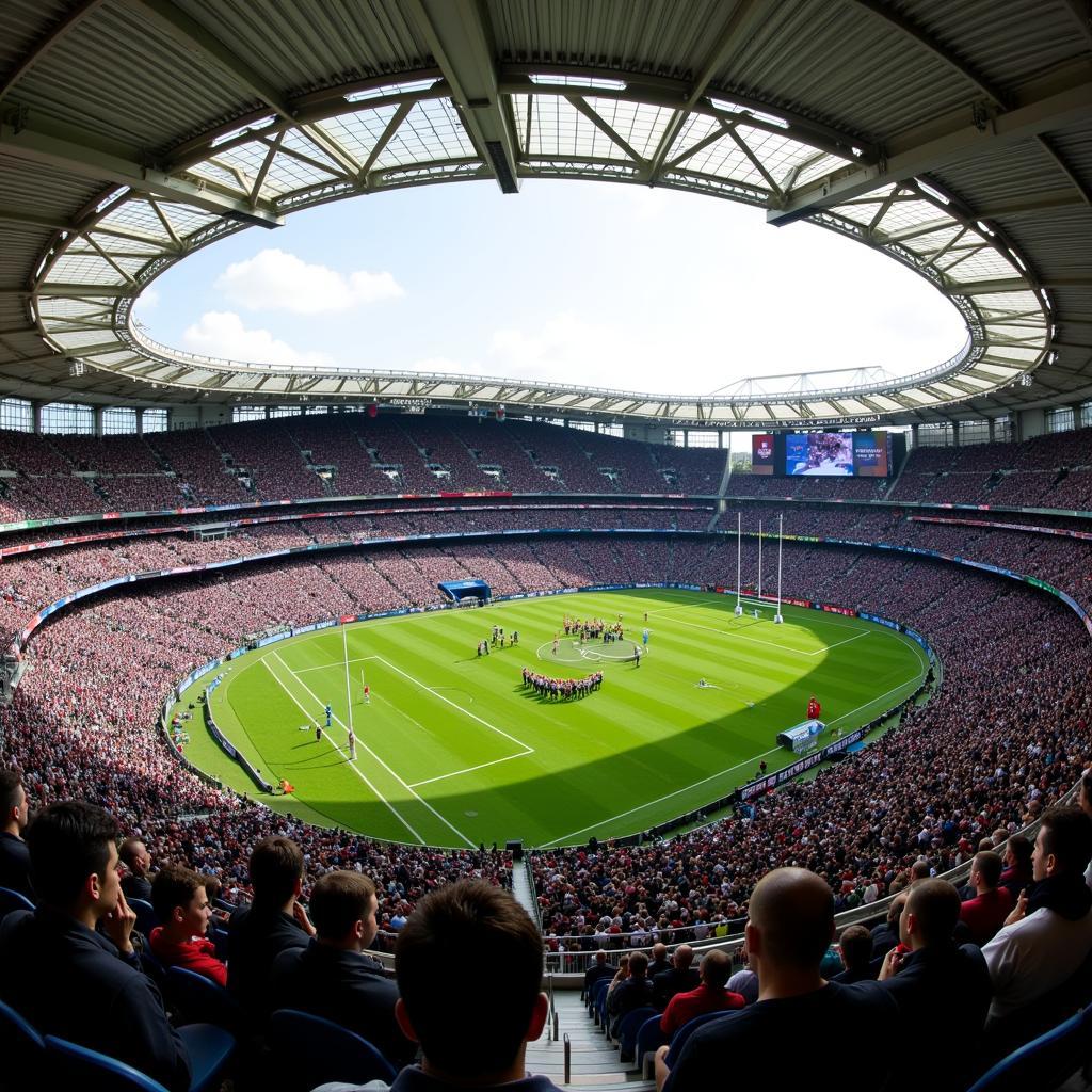 New Zealand as a Rugby World Cup Host