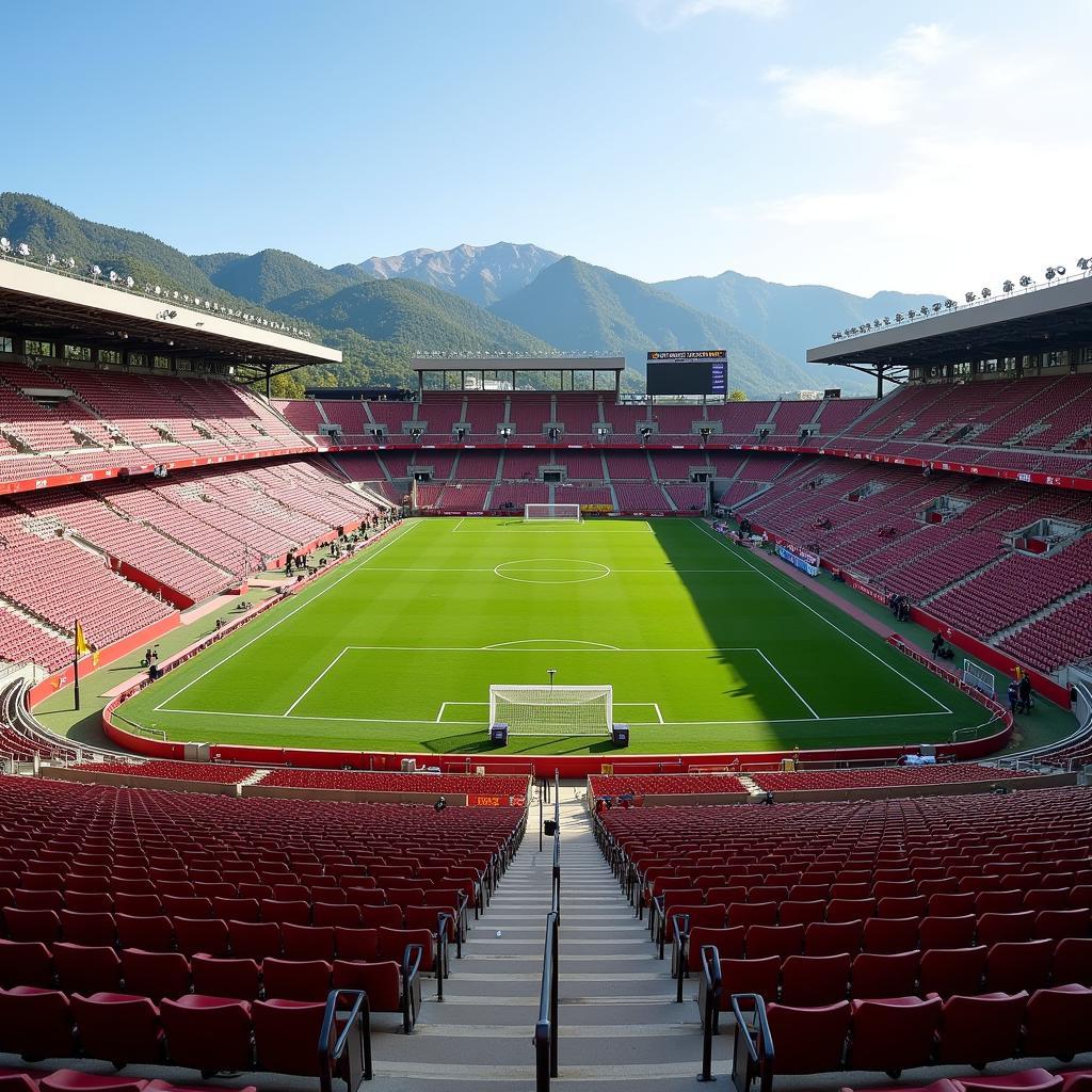 Stanford Stadium after renovation for the 1994 World Cup