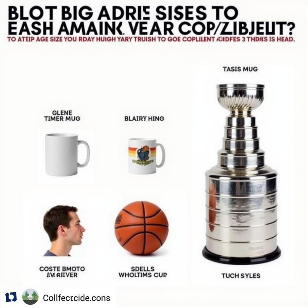 Comparing Stanley Cup Dimensions to Common Objects