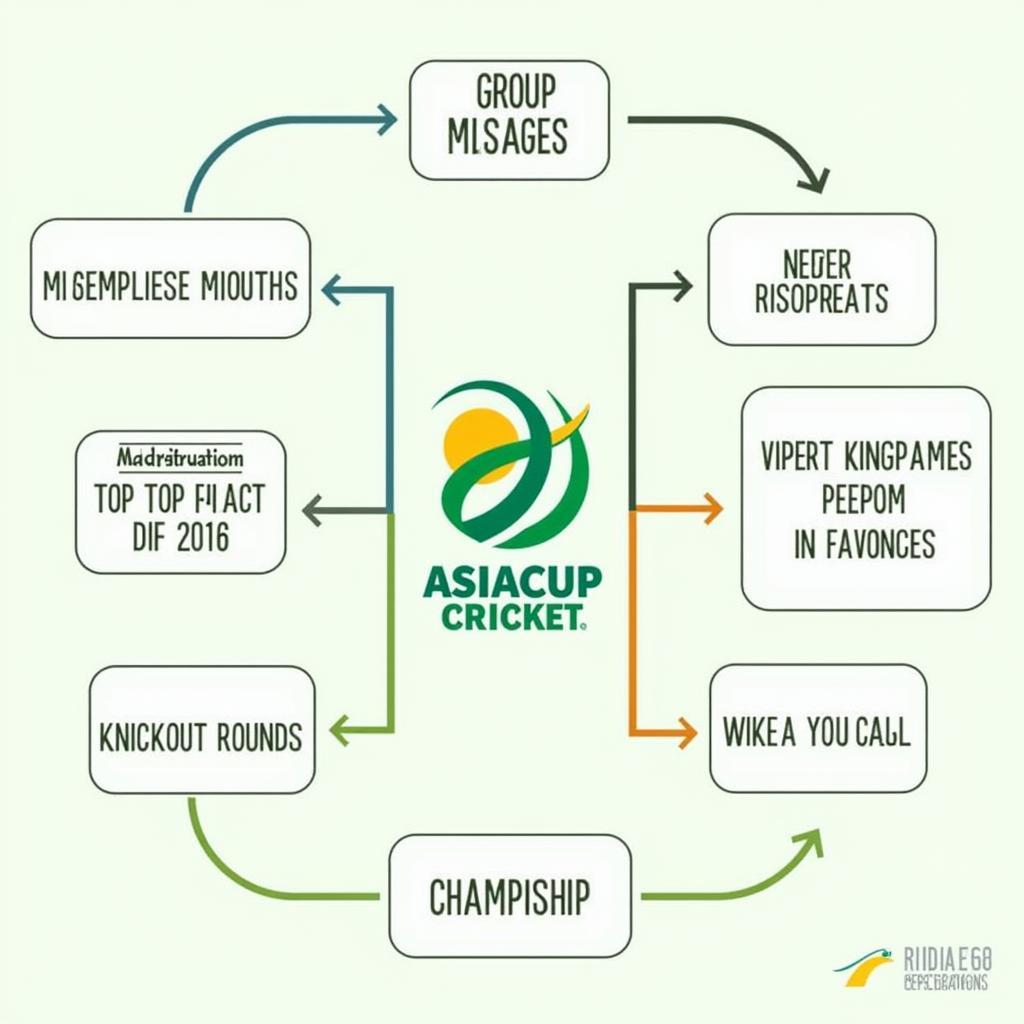 Thể Thức Thi Đấu Asia Cup Cricket