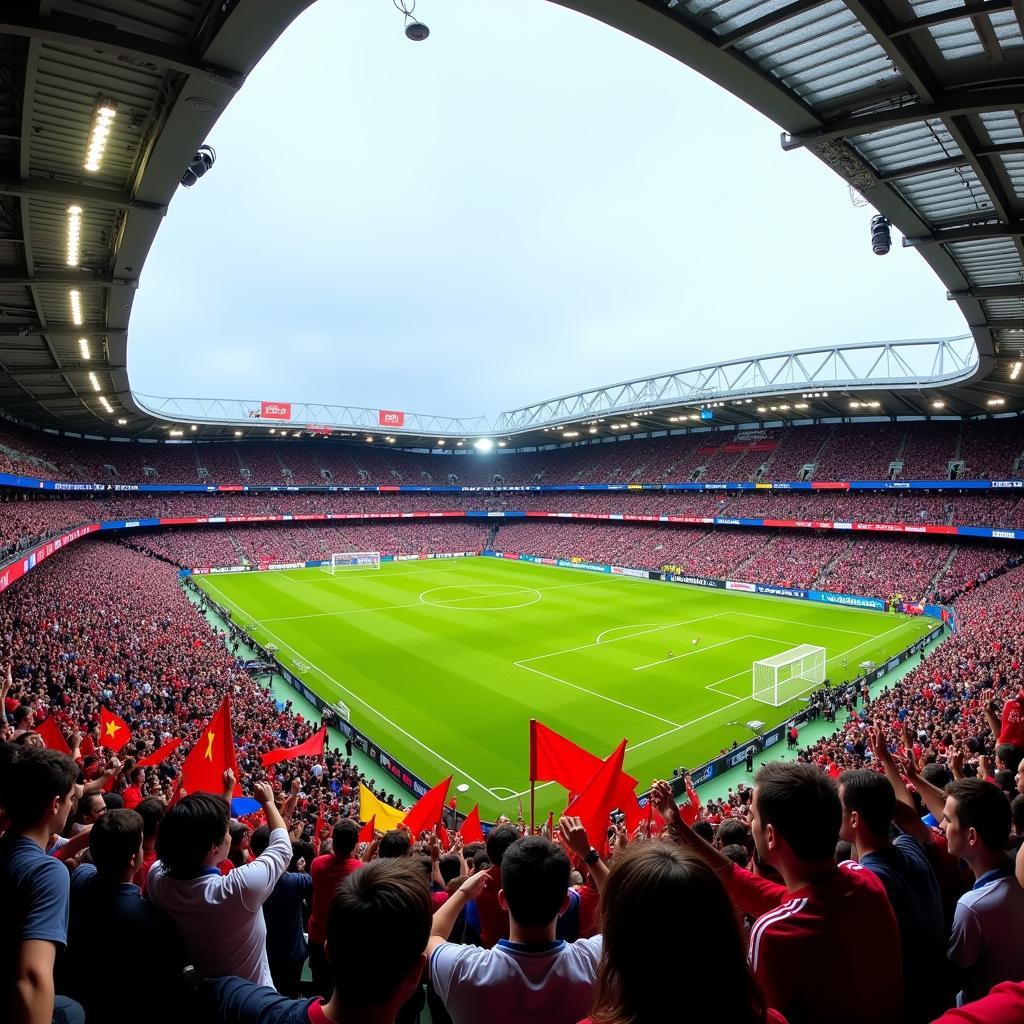 Fans Cheering in a Stadium